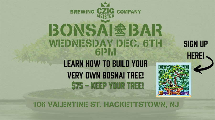 Bonsai Bar at Czig Meister Brewing Company on December 6th