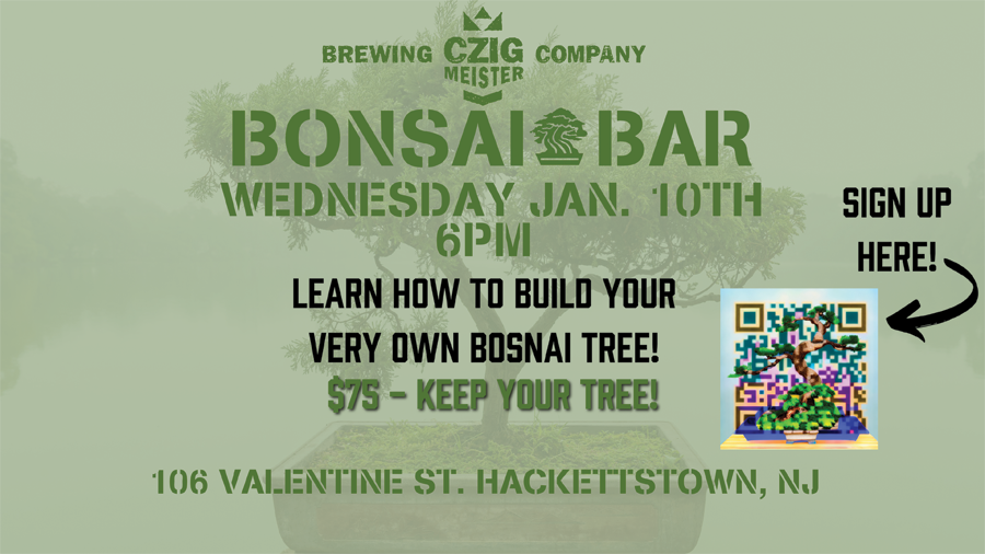 Bonsai Bar at Czig Meister Brewing Company