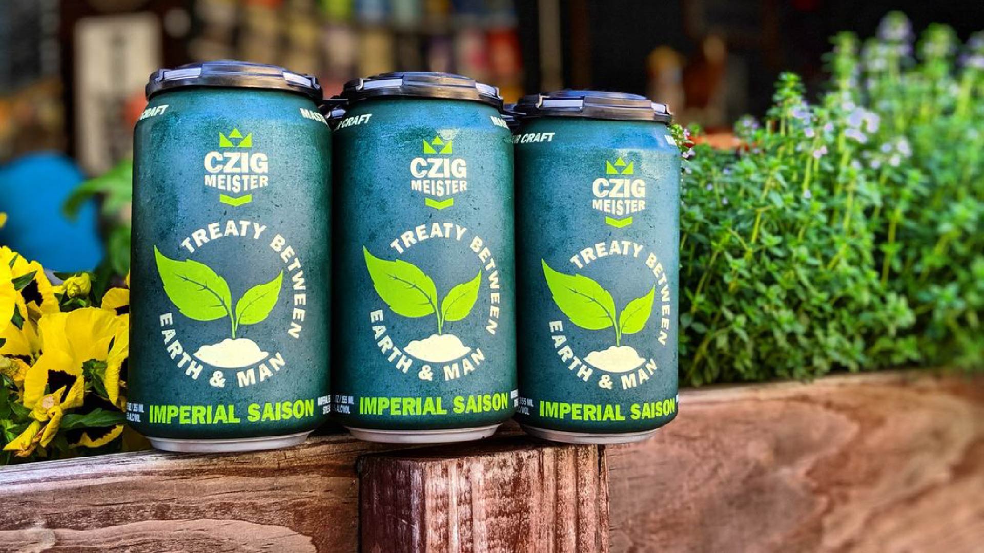 Six pack of cans of Treaty Between Earth & Man Imperial Saision at Czig Meister Brewing Company