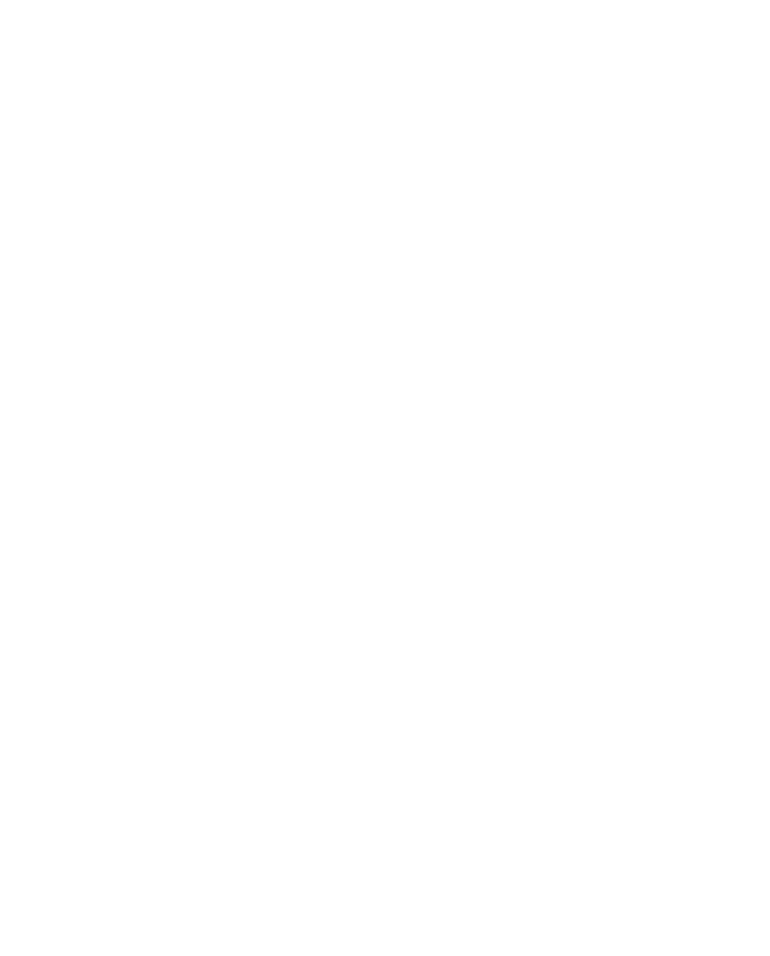 Czig Meister Logo with Paddle