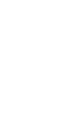 Czig Meister Logo with Paddle